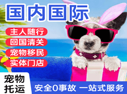 贵阳龙洞堡空运国际宠物托运 【国